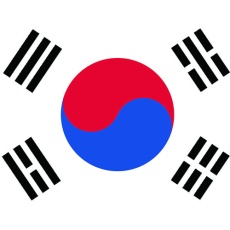 【406402】東京製旗 卓上旗(16×24cm)大韓民国