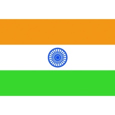 【406128】東京製旗 卓上旗(16×24cm)インド