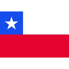 【406427】東京製旗 卓上旗(16×24cm)チリ