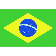 【416646】東京製旗 国旗No.1(70×105cm) ブラジル