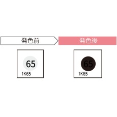 【1K65-JP】サーモカラーセンサー(発熱監視用温度感知シール、65℃)