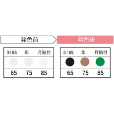 【3I65-JP】サーモカラーセンサー(発熱監視用温度感知シール 65/75/85℃)