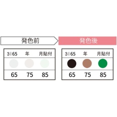【3I65-JP】サーモカラーセンサー(発熱監視用温度感知シール、65/75/85℃)