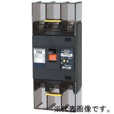 【GB-223EA-200A-W2】漏電遮断器