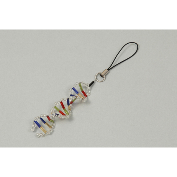 【93429】DNAモデルストラップ作り