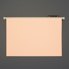 【EA762CE-12】B4/272×378mm ハンガーフォルダー(20冊)