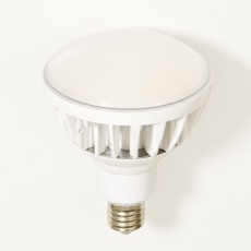 【EA814DL-55】AC100V/50W 電球(白)