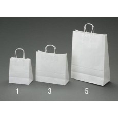 【EA927SA-6】450×220×455mm 紙袋(白無地/50枚)