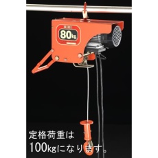 【EA987DB-2】AC100V/100kgx10m 電気ホイスト