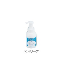 【3-5388-12】手洗いマスターハンドソープ