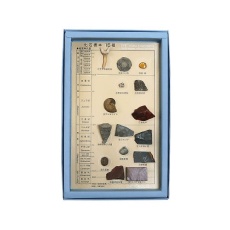 【3-654-04】化石標本 15種