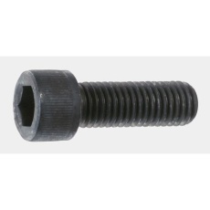 【M2X6】いたずら防止ねじ M2 x 6mm 六角穴 鉄