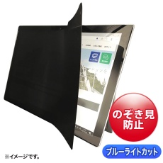 【LCD-ZE2LN102IPAD】2WAY覗き見防止フィルム(iPad10.2インチ(全面)対応)