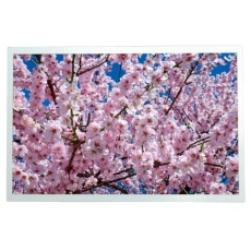 【254-0015】TFT 液晶ディスプレイ 12.1インチ TFT 1280 x 800pixels