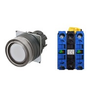 【A22NL-BGM-TWA-G101-WC】[受注生産品]押しボタンスイッチ