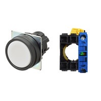 【A22NN-BNM-NWA-G100-NN】[受注生産品]押しボタンスイッチ