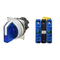 【A22NW-3MM-TAA-G101-AD】[受注生産品]セレクタスイッチ