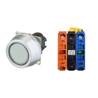 【A30NL-MGM-TWA-G102-WB】[受注生産品]押しボタンスイッチ