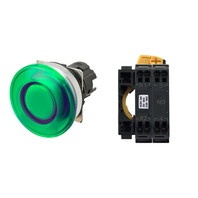 【A30NL-MMM-TGA-P100-GC】[受注生産品]押しボタンスイッチ