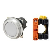 【A30NN-MNA-NWA-G002-NN】[受注生産品]押しボタンスイッチ