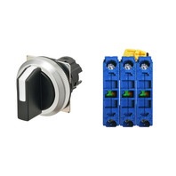 【A30NS-3MM-NBA-G111-NN】[受注生産品]セレクタスイッチ