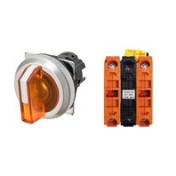 【A30NW-3MR-TOA-G202-OA】[受注生産品]セレクタスイッチ