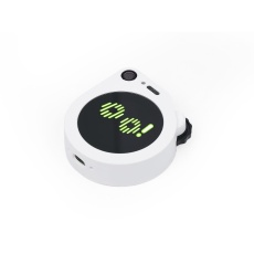 【113991275】SenseCAP Watcher W1-B(白色ケース版)
