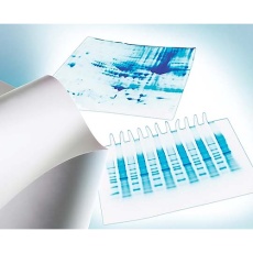 【IPVH10100】Immobilon-P PVDF 0.45um 10x10cm sheet 10/Pk 10PK IPVH10100
