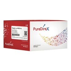【PDP01-0100】PureDireX プラスミドDNA抽出キット PDP01-0100 100 rxns入