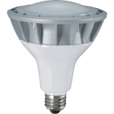 【LDR20N-H110】ハタヤ LED作業灯 20W交換球昼白色広角タイプ