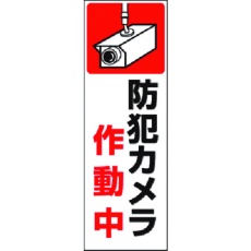 【9-TS】つくし 短冊ステッカー 防犯カメラ作動中