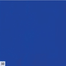 【ASSF-3030B】TRUSCO エアーシャワー用粘着シート(穴なし) 300X300 30枚 中粘度 青