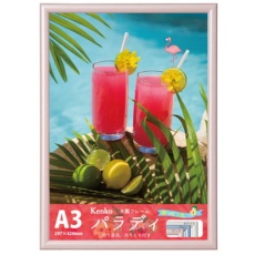 【EPR-A3-PK】Kenko 1250263 ダイレクトフレーム パラディ A3 ピンク EPR-A3 PK
