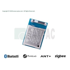 【RAYTAC-MDBT50Q-1MV2】nRF52840 MDBT50Q-1MV2 モジュール(チップアンテナ)