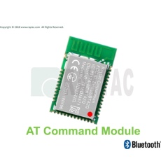 【RAYTAC-MDBT42Q-PAT2】スレーブ/ペリフェラル用 ATコマンド対応 MDBT42Q-PAT2 モジュール(PCBアンテナ)