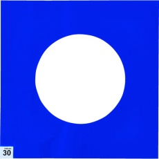 【ASS-3030B-M10】TRUSCO まとめ買い エアーシャワー用粘着シート 300X300 30枚 中粘度 青 10シート