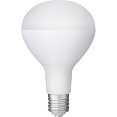 【LDR25D-H-E39-E2】IRIS 107945 PROLEDS LED電球 投光器用 3000lm