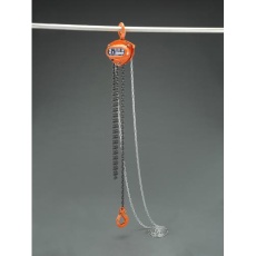 【EA987CM-8】2.0tonx8.0m チェーンブロック