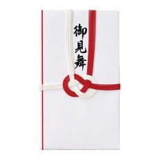 【EA762GC-121】お見舞い用袋(10枚)