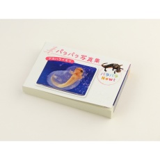 【E30-9916】パラパラ写真集「アカハライモリ」