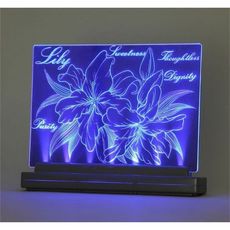 【13347】ライトスクラッチ A5