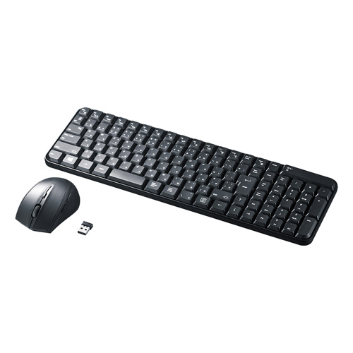 【SKB-WL25SETBK】マウス付きワイヤーレスキーボード ブラック