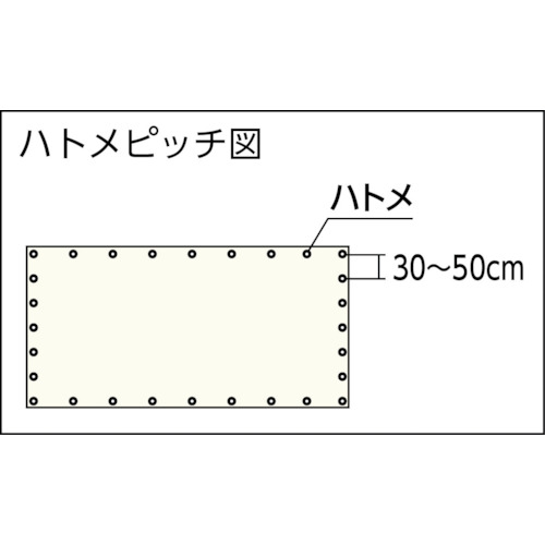防炎シートα軽量 幅5.4mX長さ7.2m【GBS-5472A】