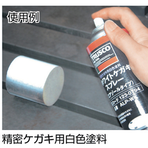 ホワイトケガキスプレー 420ml【ALP-WK】