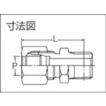 黄銅製ハーフユニオン Φ6×1/8B 銅管用 くい込み継手【GC-6X1/8B】