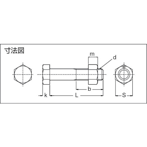 ステンレス特殊ボルト【SD16070】