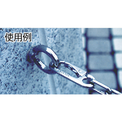 アイボルト ステンレス製 Φ10X穴径29XM12 (1個=1袋)【TIB-12M】