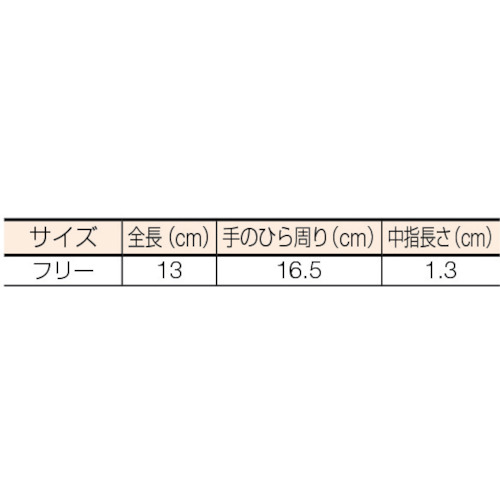 クリーンルーム用インナー手袋ハーフサイズ (10双入)【TPG-311】