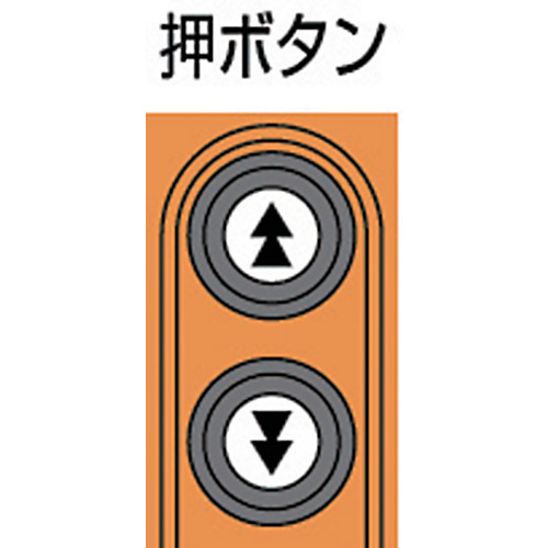 セレクト 電気チェーンブロック 2速 480kg(ST)x3m【ED48ST】