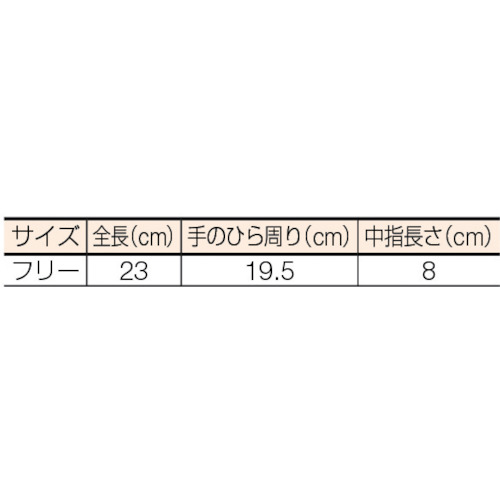 純綿軍手1ダース入り【160】